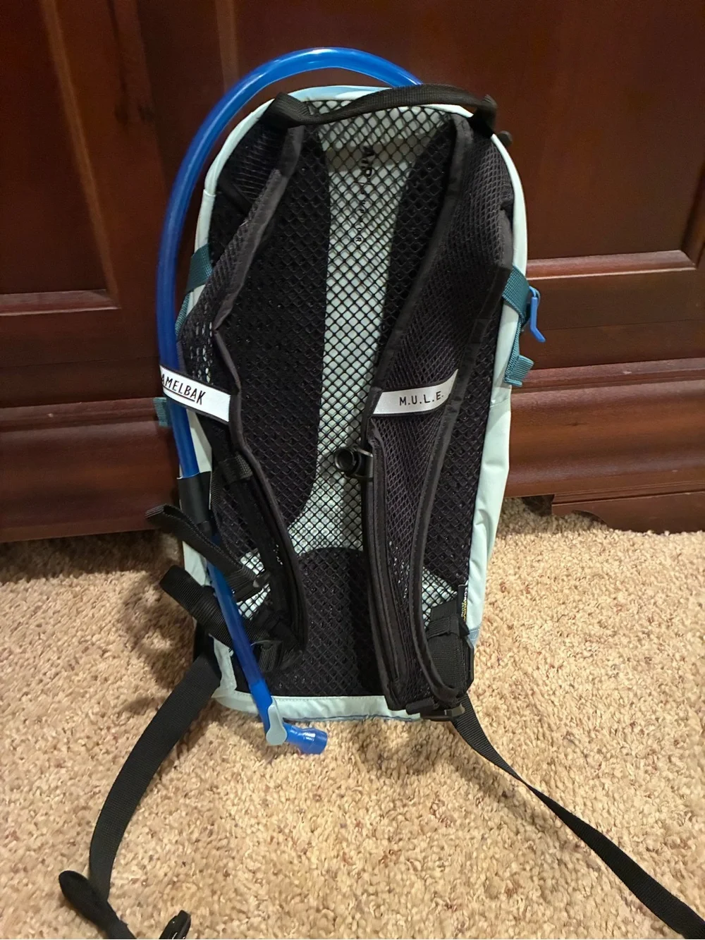 CamelBak M.U.L.E Women's Fit Hydration Pack in Light Mint and Slate Blue 12 L